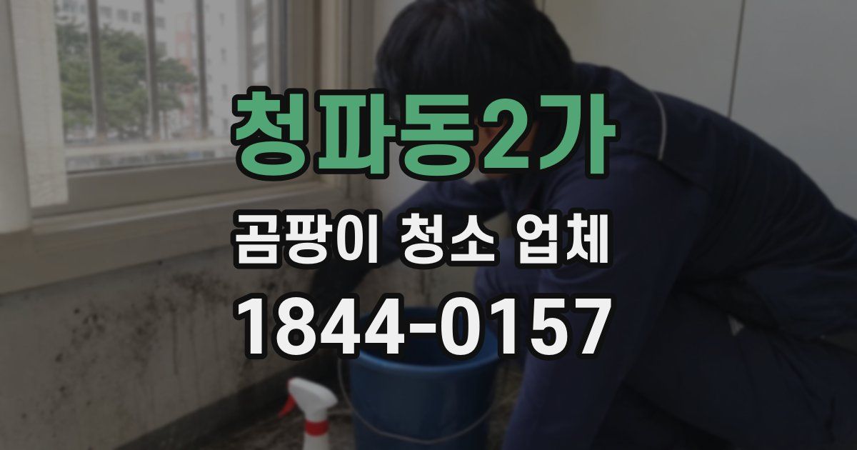 청파동2가 곰팡이 청소 업체