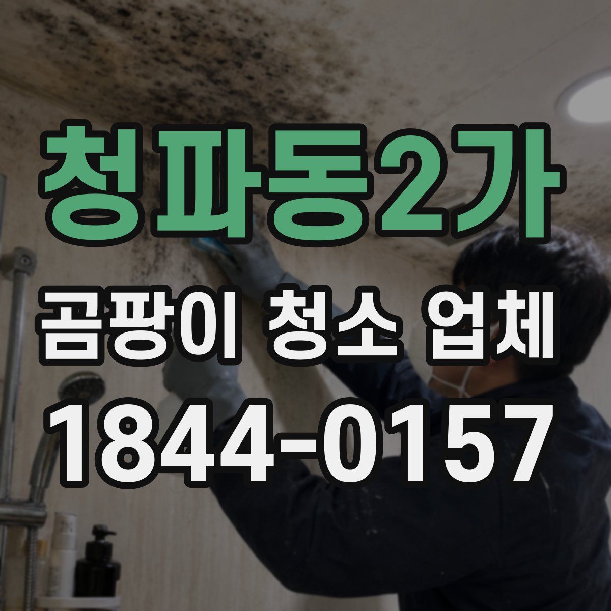 청파동2가 곰팡이 청소 업체
