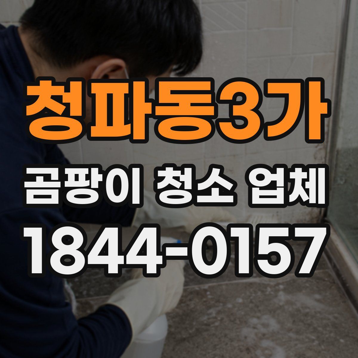 청파동3가 곰팡이 청소 업체