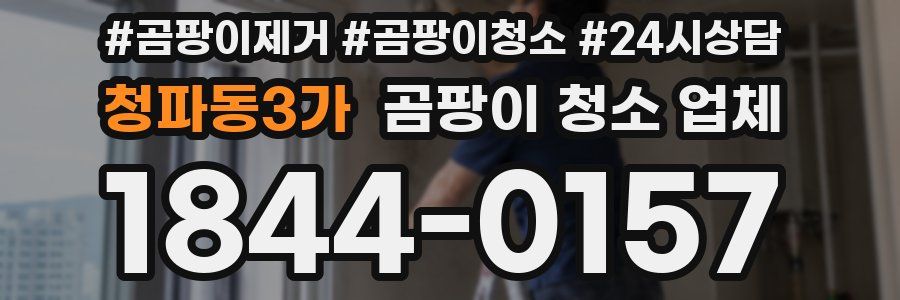 청파동3가 곰팡이 청소 업체