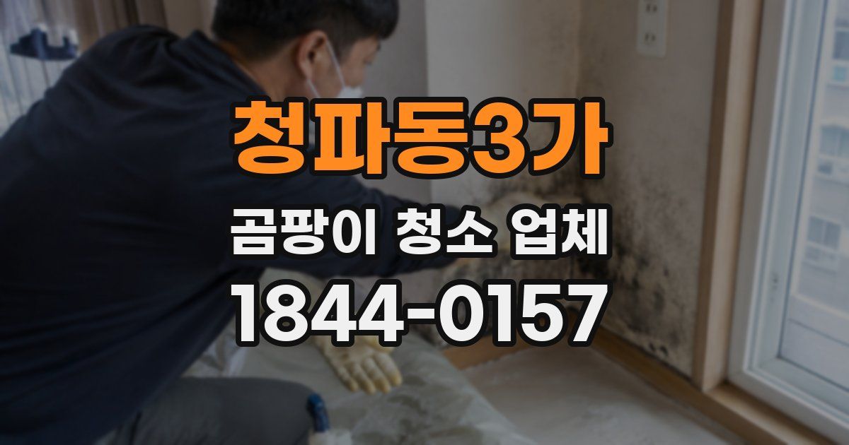 청파동3가 곰팡이 청소 업체