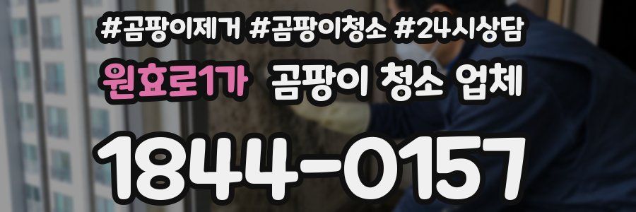 원효로1가 곰팡이 청소 업체