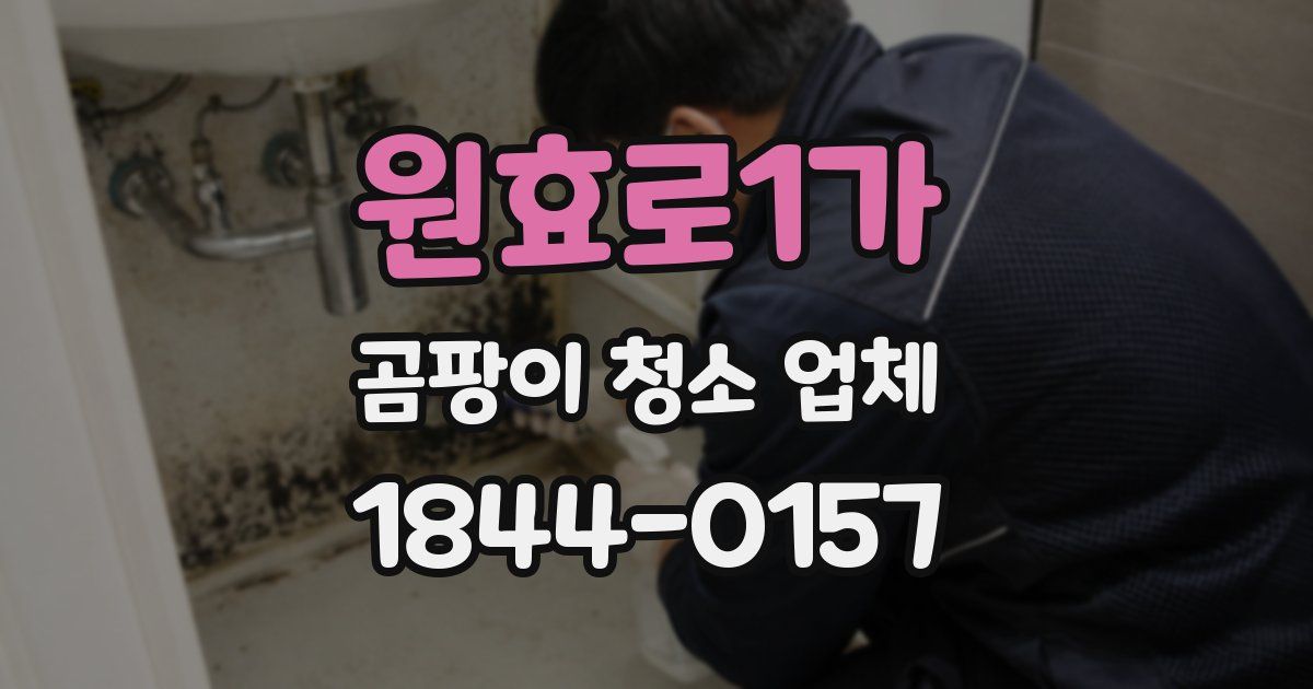 원효로1가 곰팡이 청소 업체