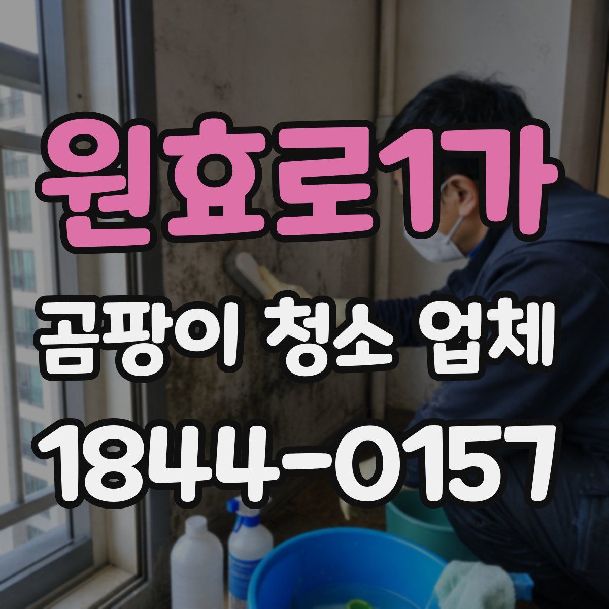 원효로1가 곰팡이 청소 업체