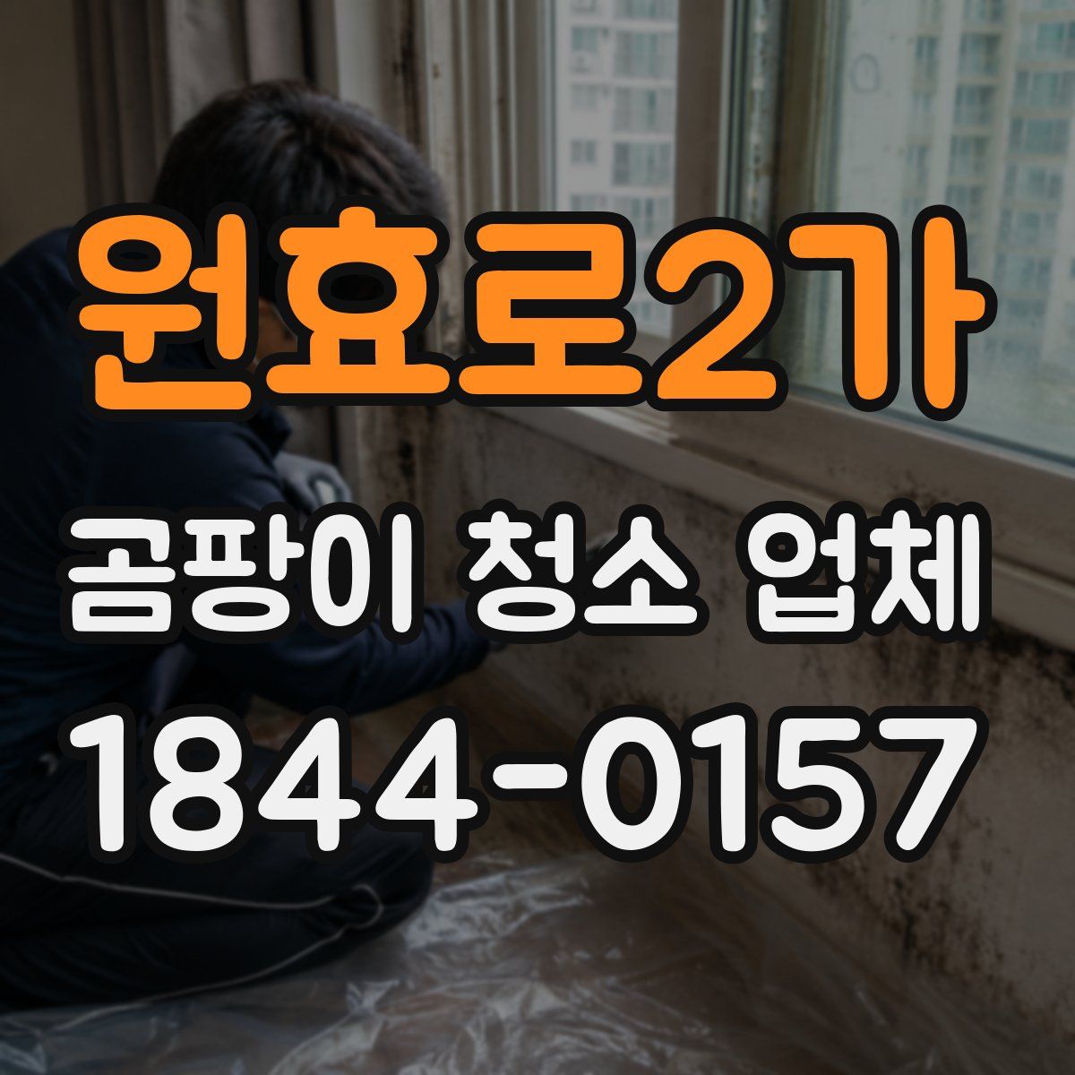 원효로2가 곰팡이 청소 업체