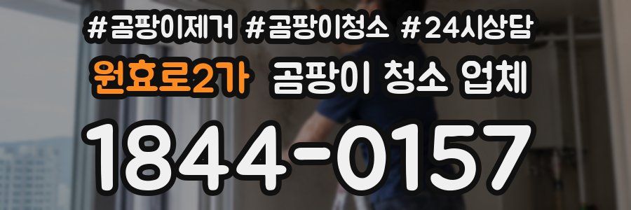 원효로2가 곰팡이 청소 업체