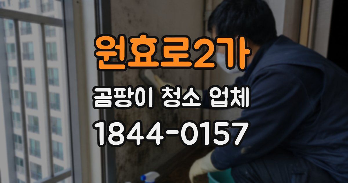 원효로2가 곰팡이 청소 업체