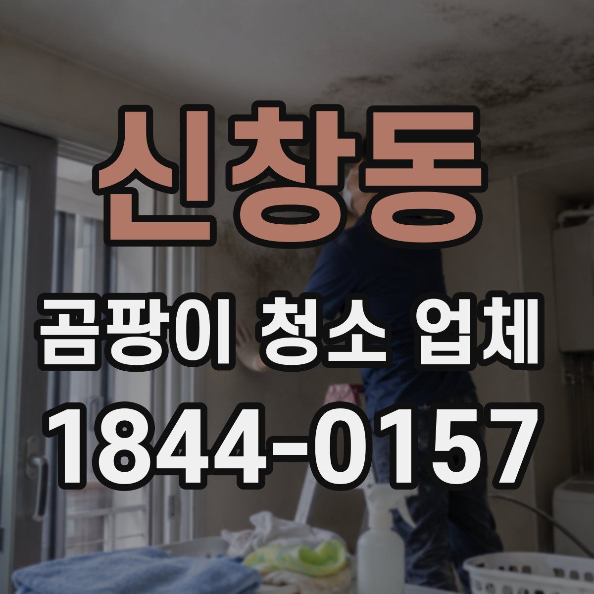 신창동 곰팡이 청소 업체