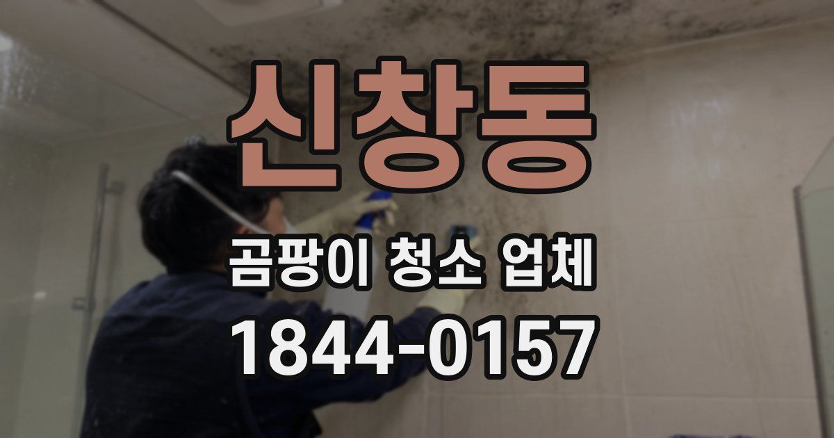 신창동 곰팡이 청소 업체