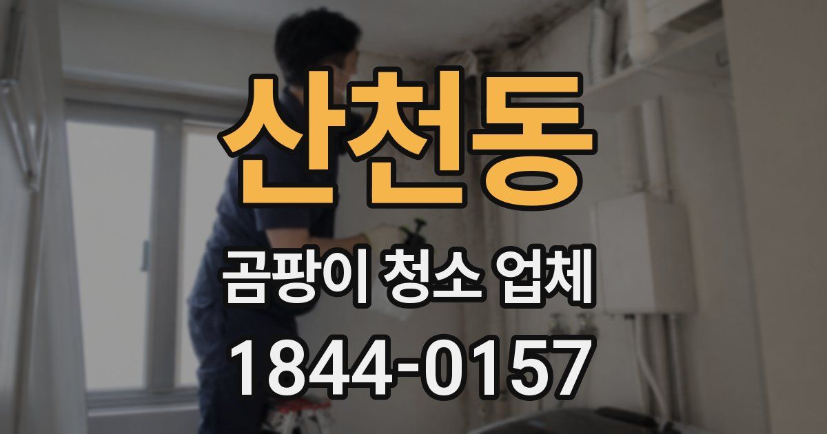 산천동 곰팡이 청소 업체