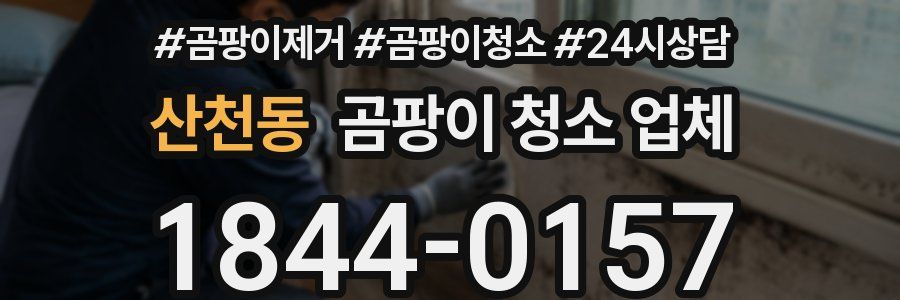 산천동 곰팡이 청소 업체