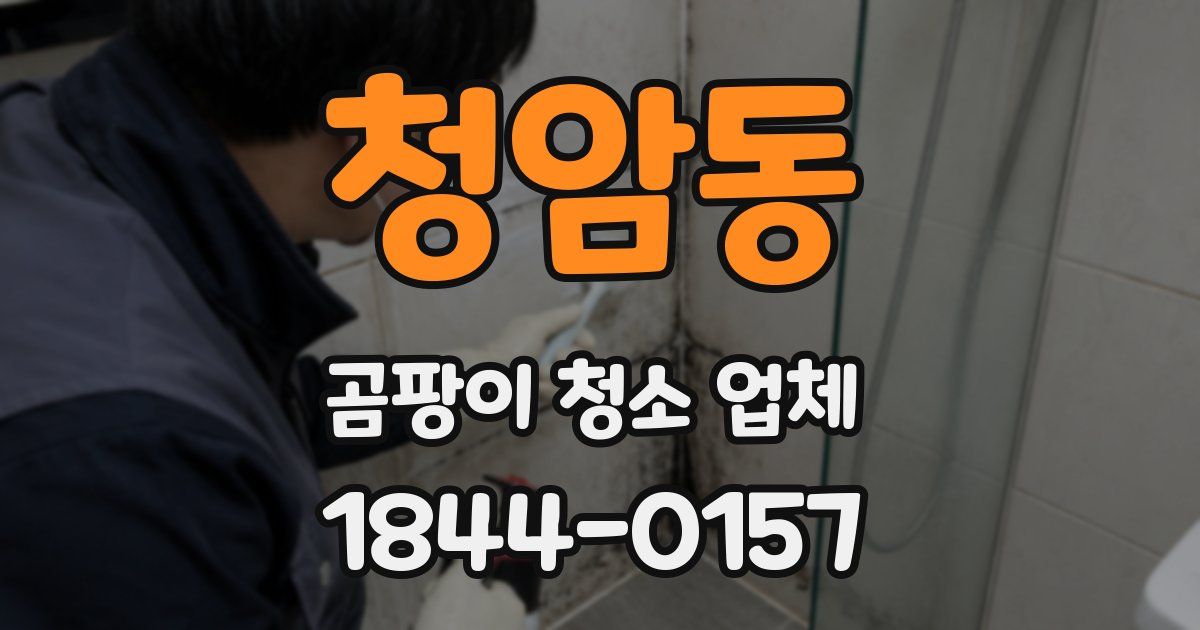 청암동 곰팡이 청소 업체