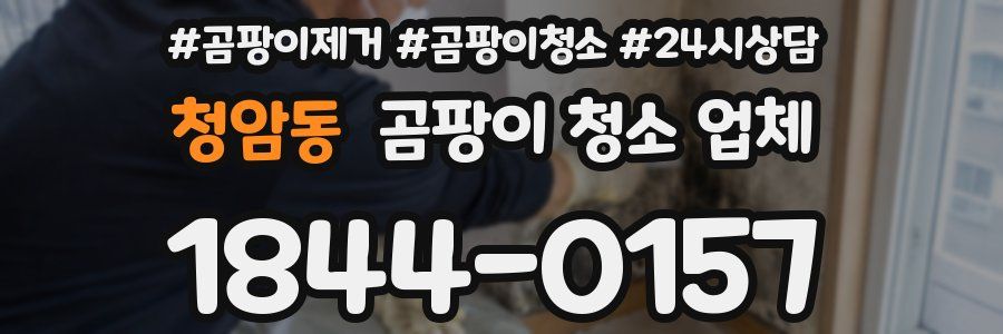 청암동 곰팡이 청소 업체