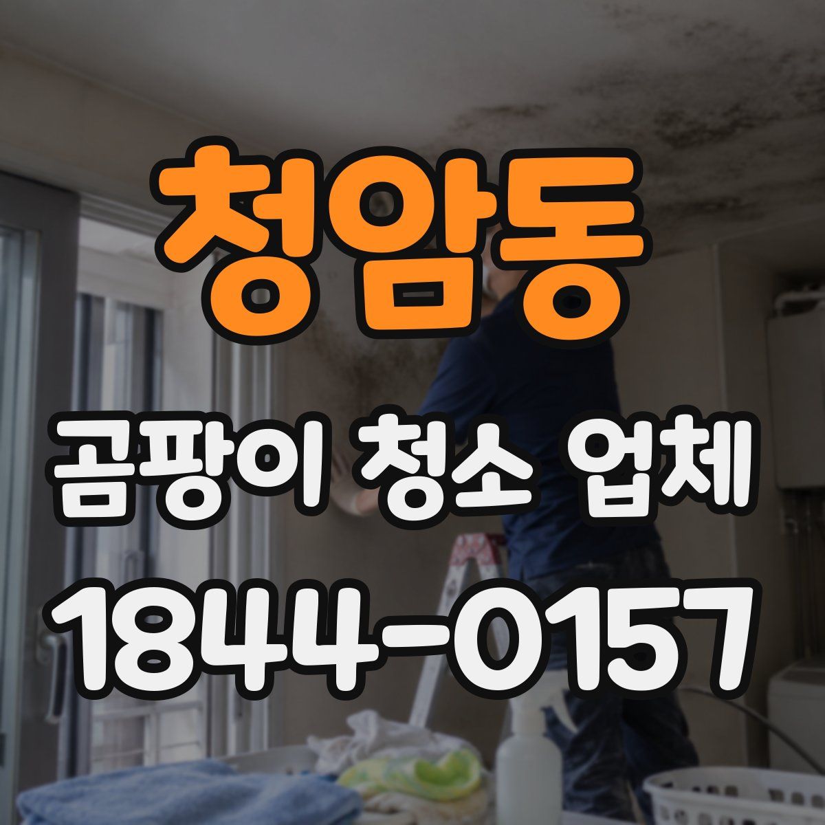 청암동 곰팡이 청소 업체