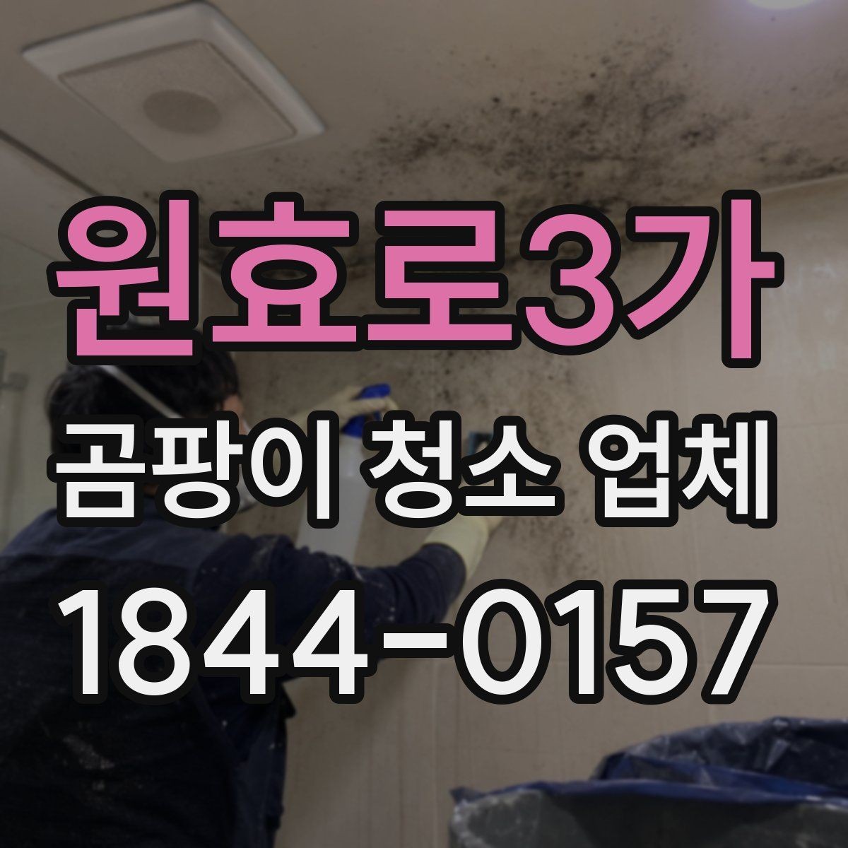 원효로3가 곰팡이 청소 업체 벽지와 욕실 곰팡이 제거 범위