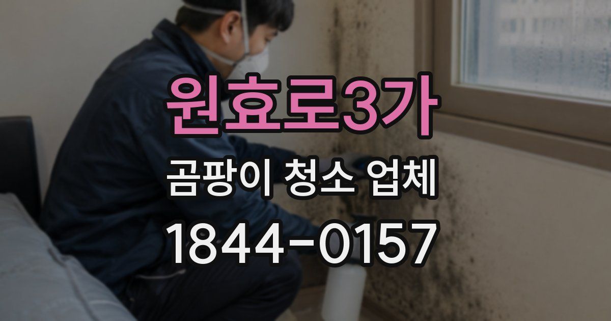 원효로3가 곰팡이 청소 업체