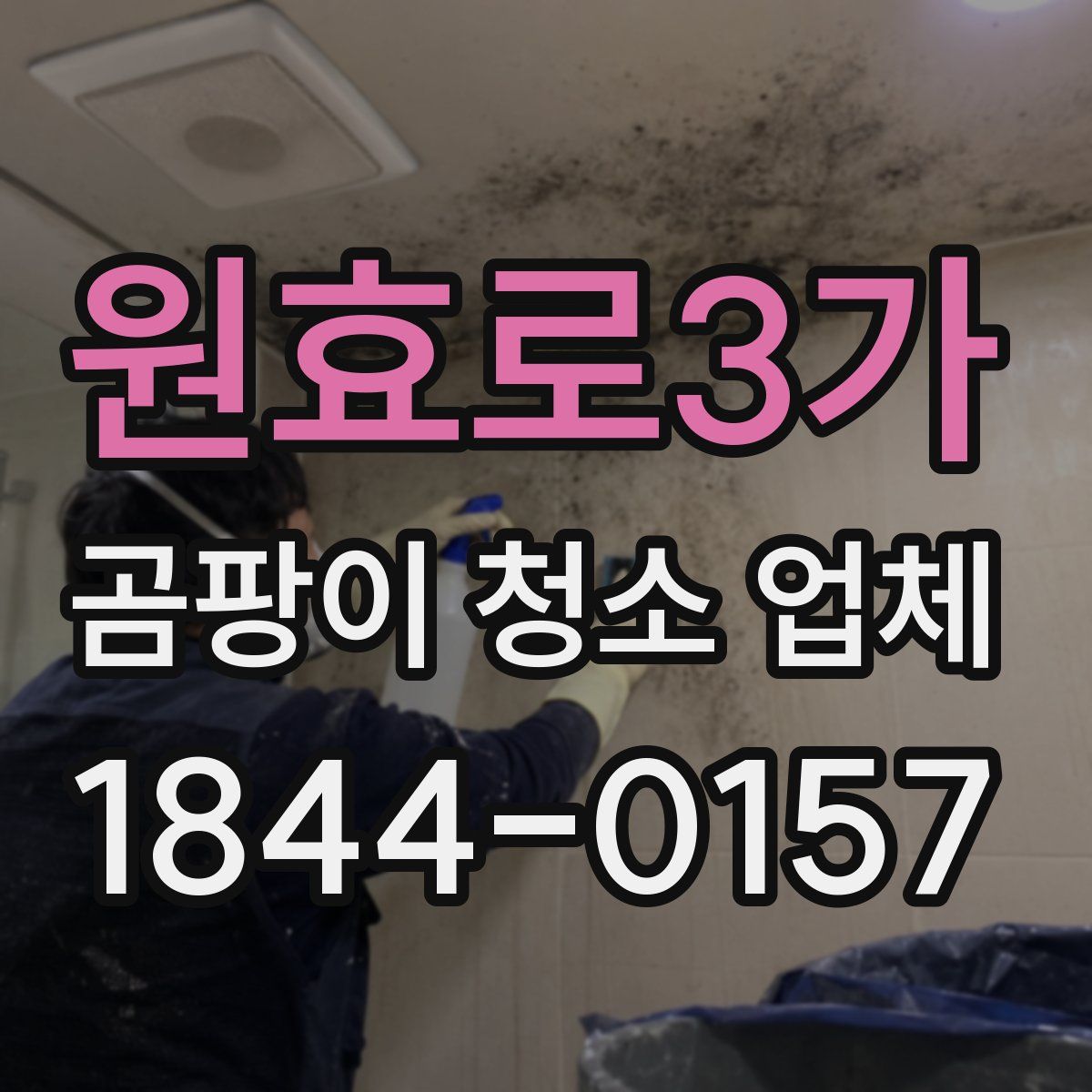 원효로3가 곰팡이 청소 업체