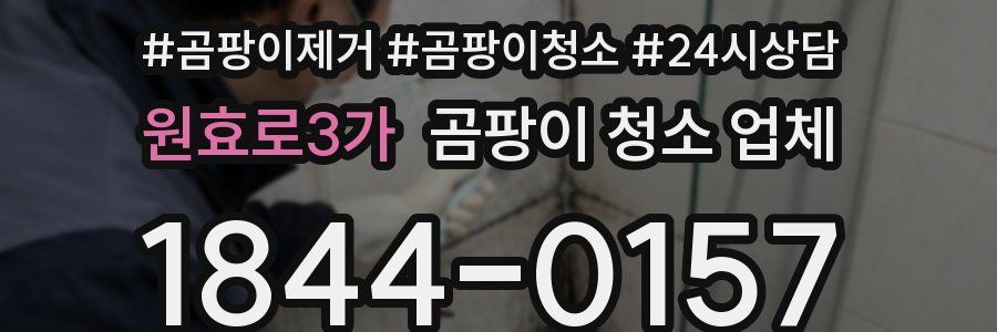 원효로3가 곰팡이 청소 업체