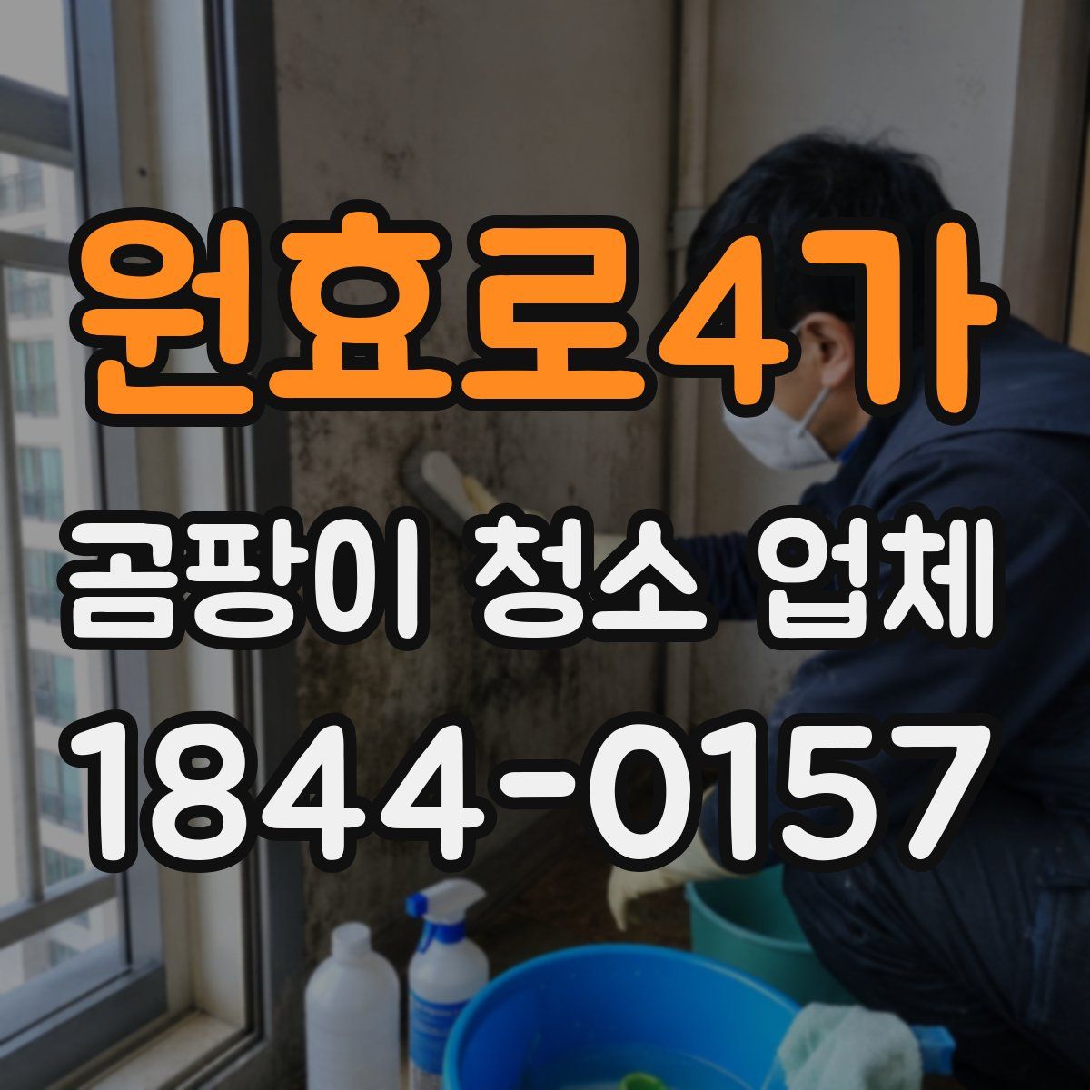 원효로4가 곰팡이 청소 업체