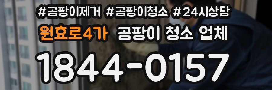 원효로4가 곰팡이 청소 업체