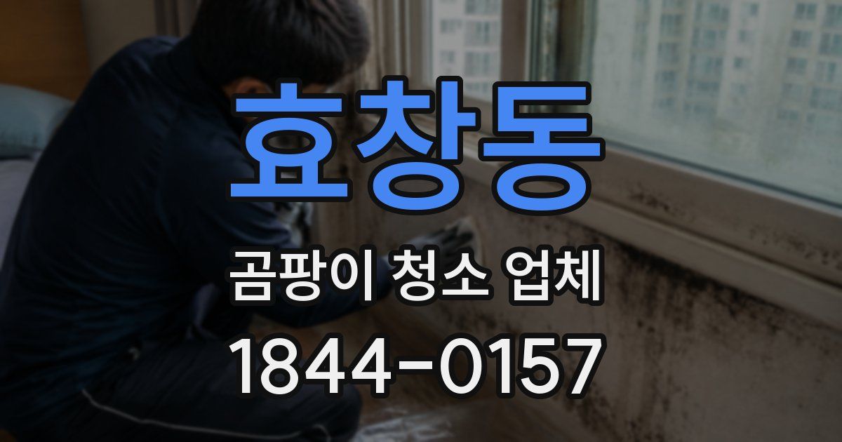 효창동 곰팡이 청소 업체