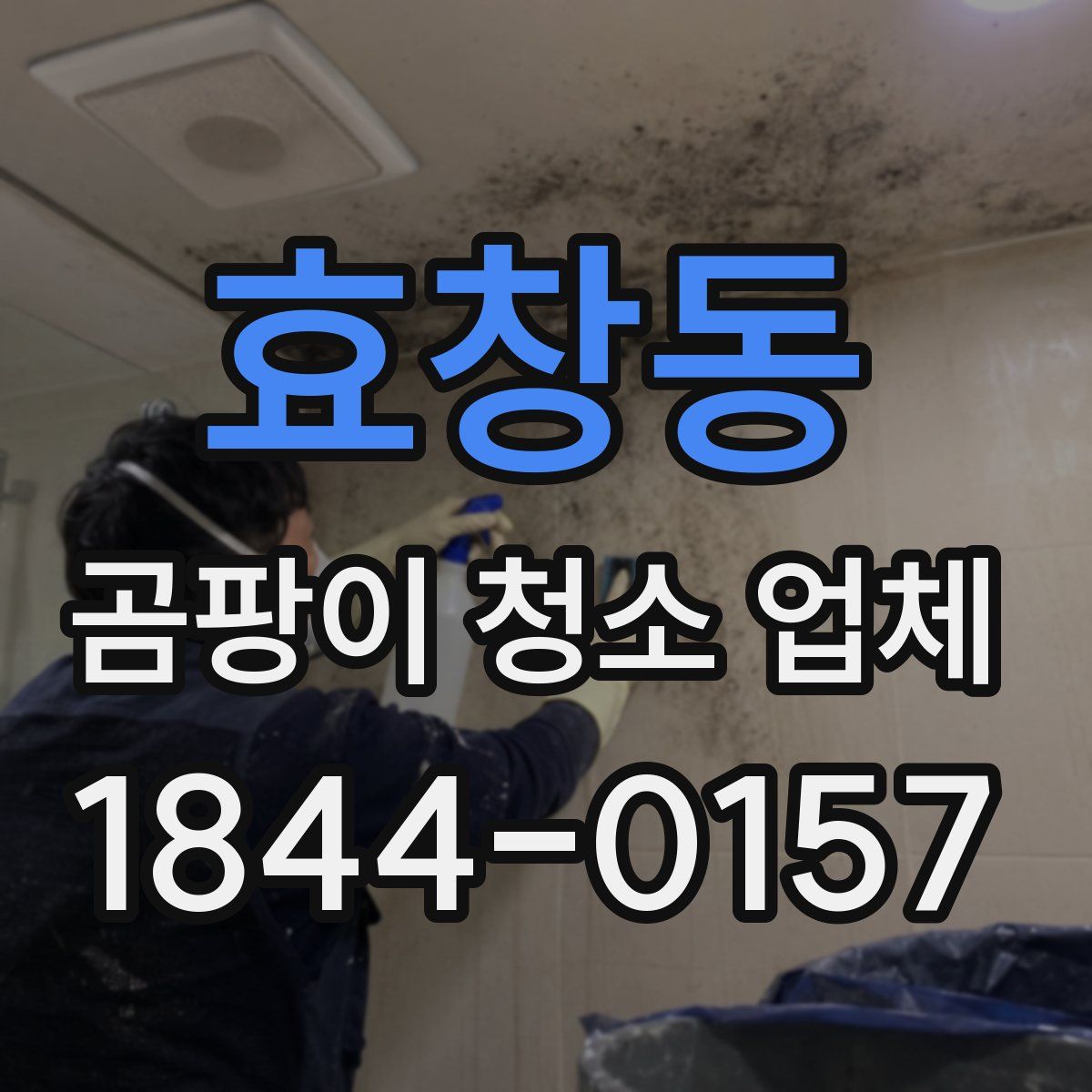 효창동 곰팡이 청소 업체