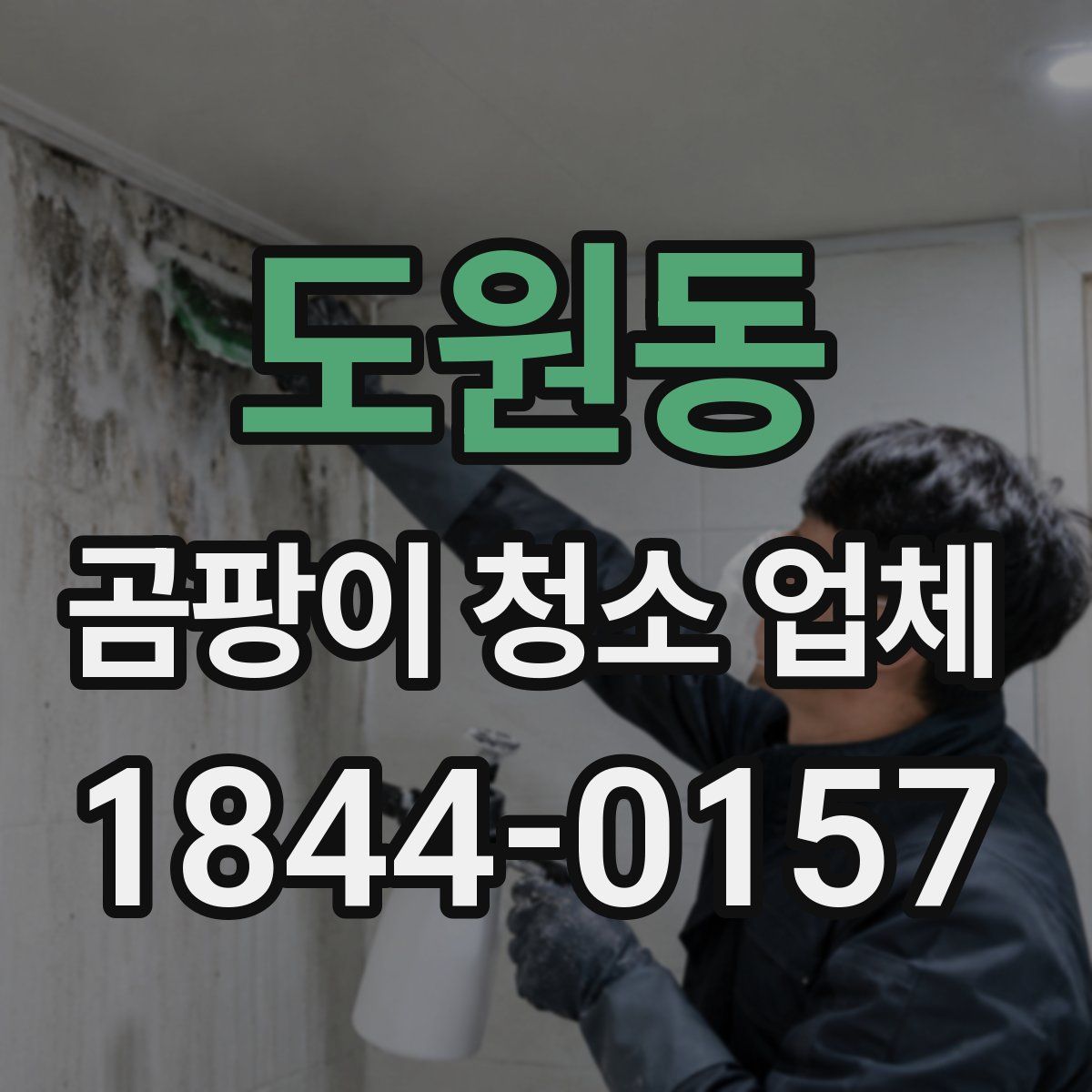 도원동 곰팡이 청소 업체