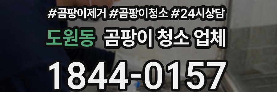 도원동 곰팡이 청소 업체