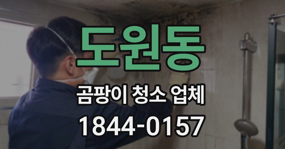도원동 곰팡이 청소 업체