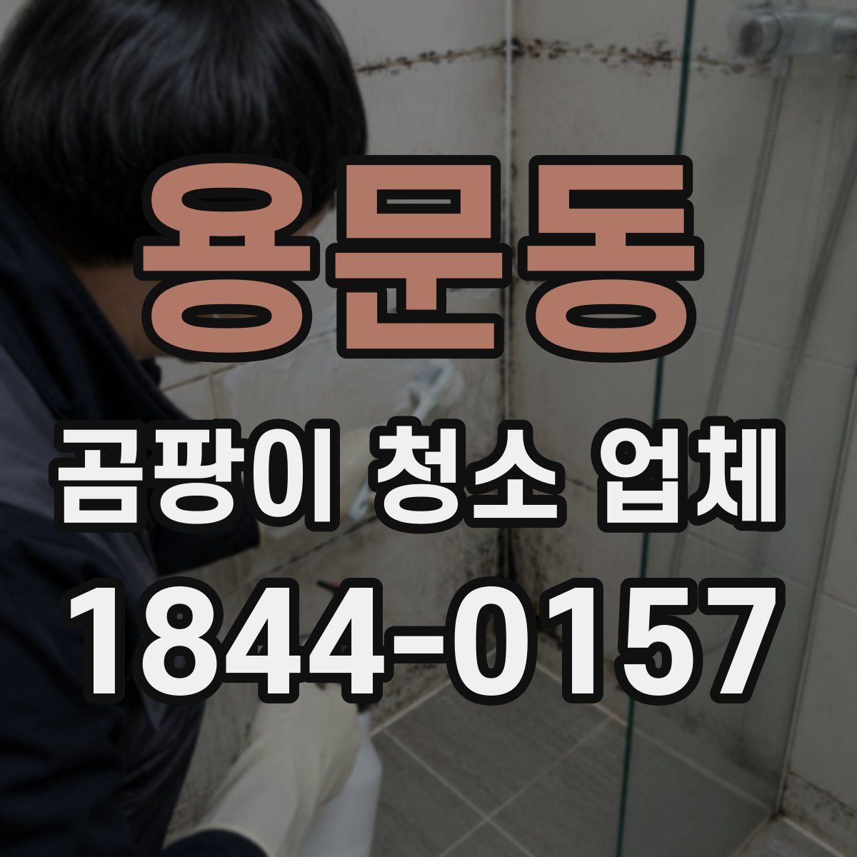 용문동 곰팡이 청소 업체