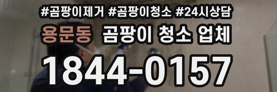 용문동 곰팡이 청소 업체