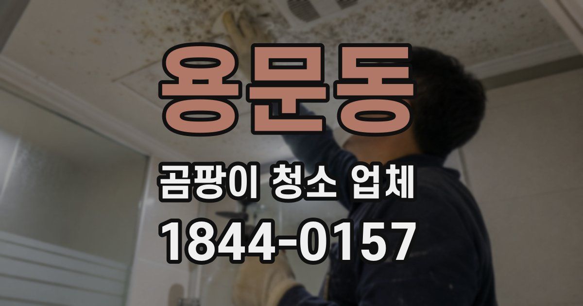 용문동 곰팡이 청소 업체