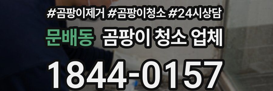 문배동 곰팡이 청소 업체