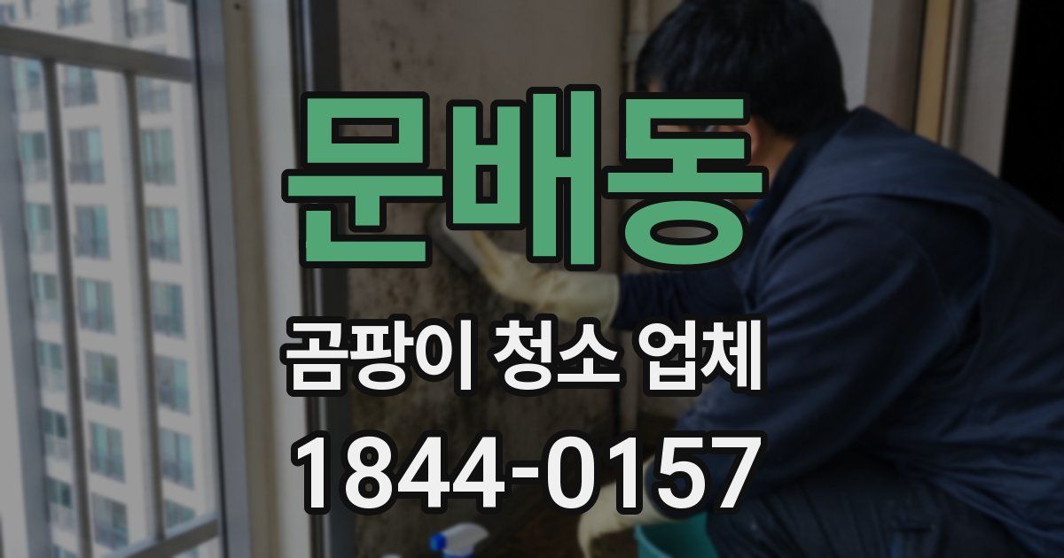 문배동 곰팡이 청소 업체