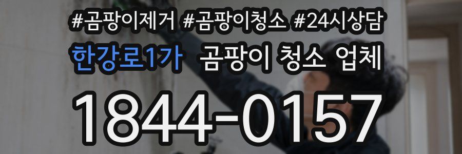 한강로1가 곰팡이 청소 업체