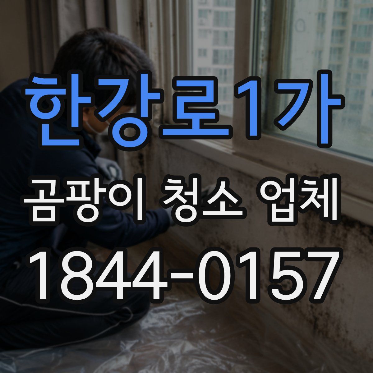 한강로1가 곰팡이 청소 업체