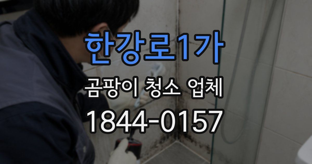한강로1가 곰팡이 청소 업체