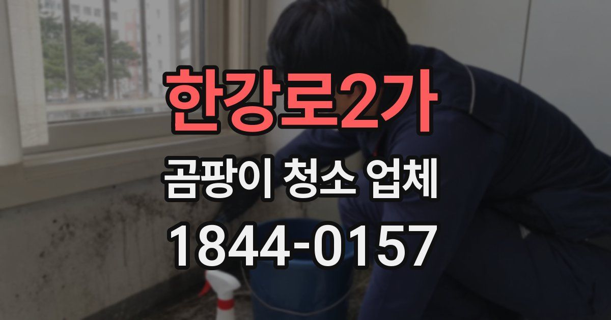 한강로2가 곰팡이 청소 업체