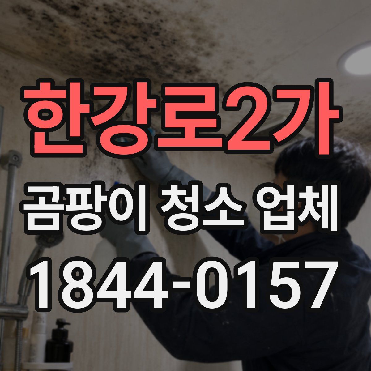한강로2가 곰팡이 청소 업체