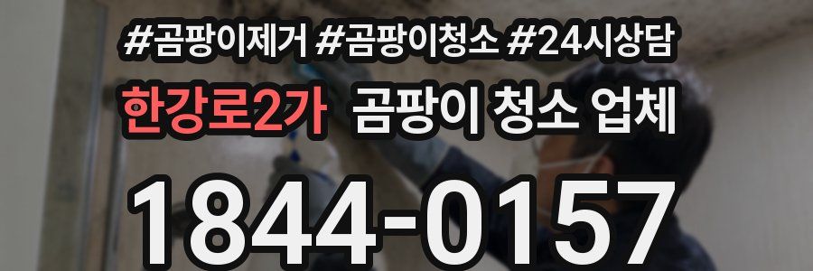 한강로2가 곰팡이 청소 업체