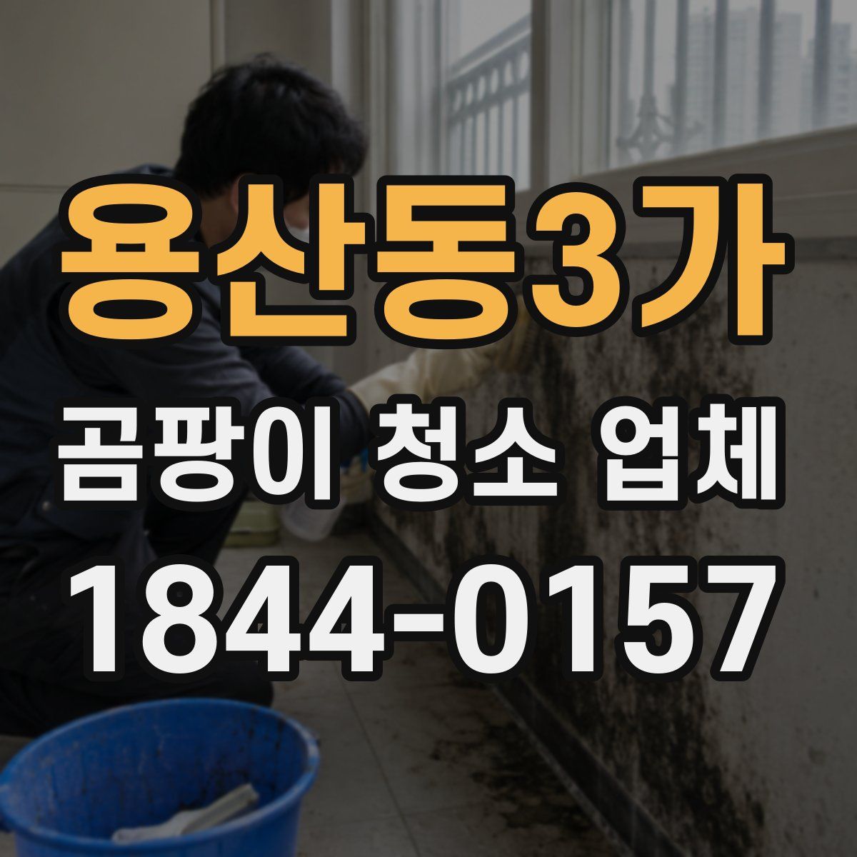용산동3가 곰팡이 청소 업체