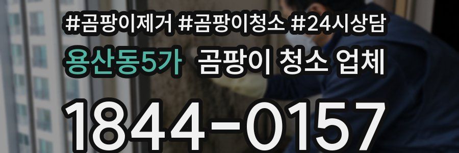 용산동5가 곰팡이 청소 업체
