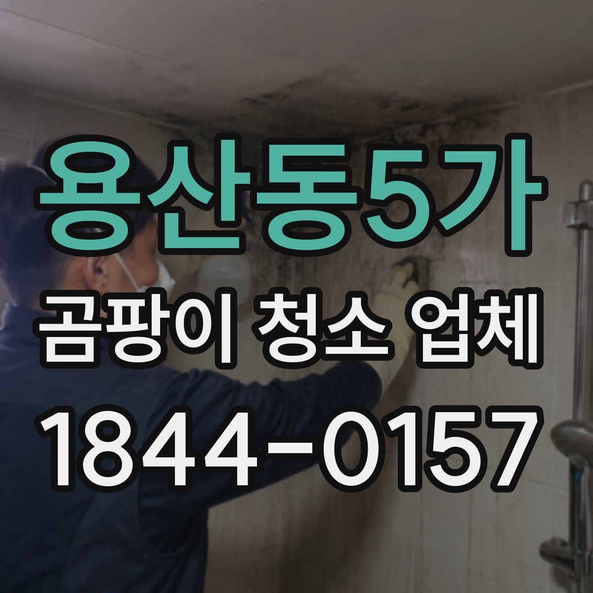 용산동5가 곰팡이 청소 업체