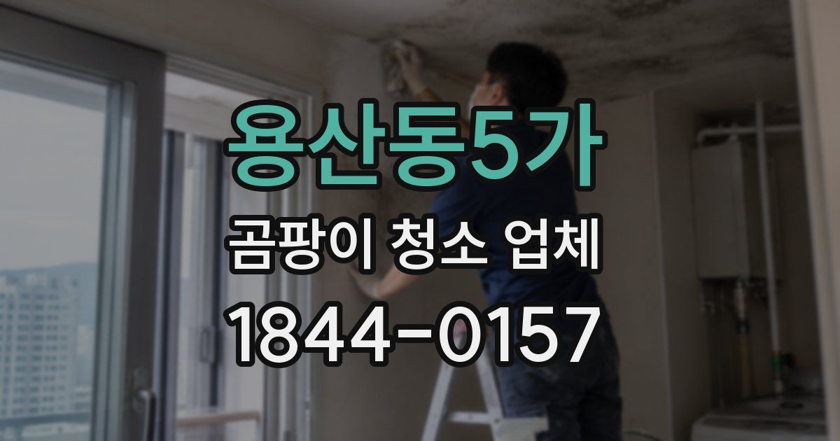 용산동5가 곰팡이 청소 업체