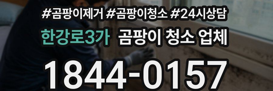 한강로3가 곰팡이 청소 업체