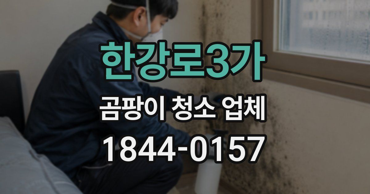 한강로3가 곰팡이 청소 업체
