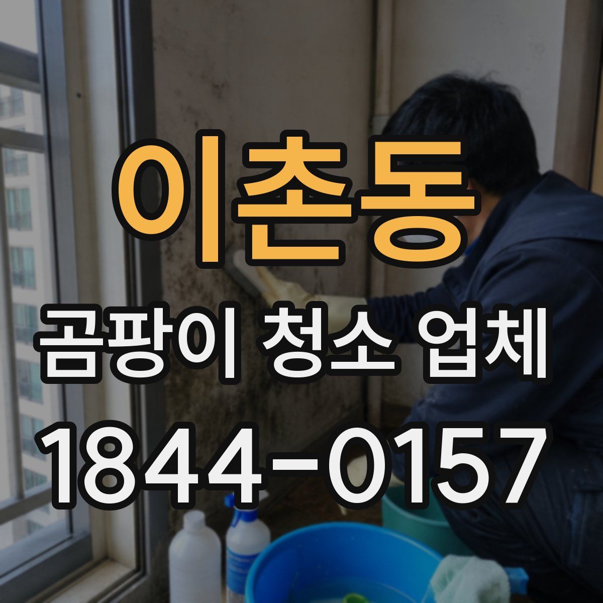 이촌동 곰팡이 청소 업체