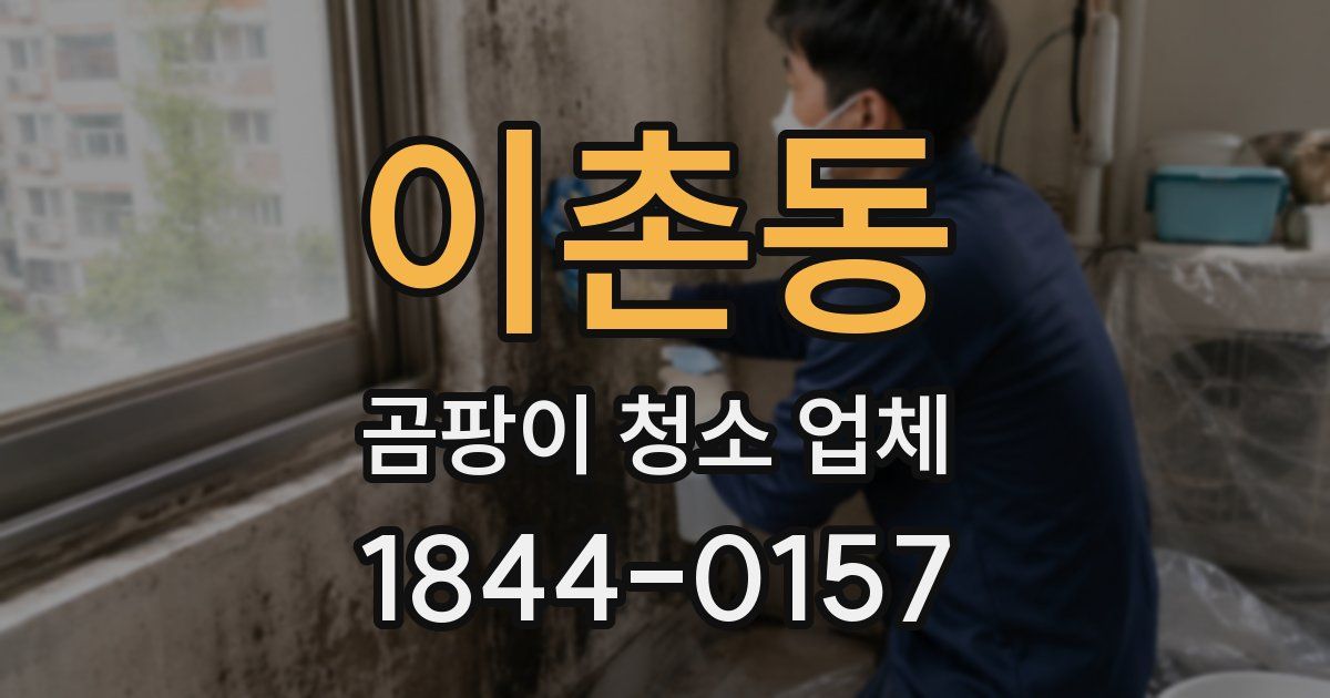 이촌동 곰팡이 청소 업체