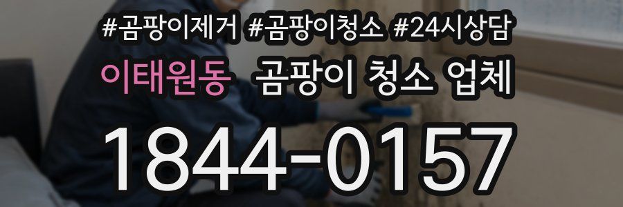 이태원동 곰팡이 청소 업체