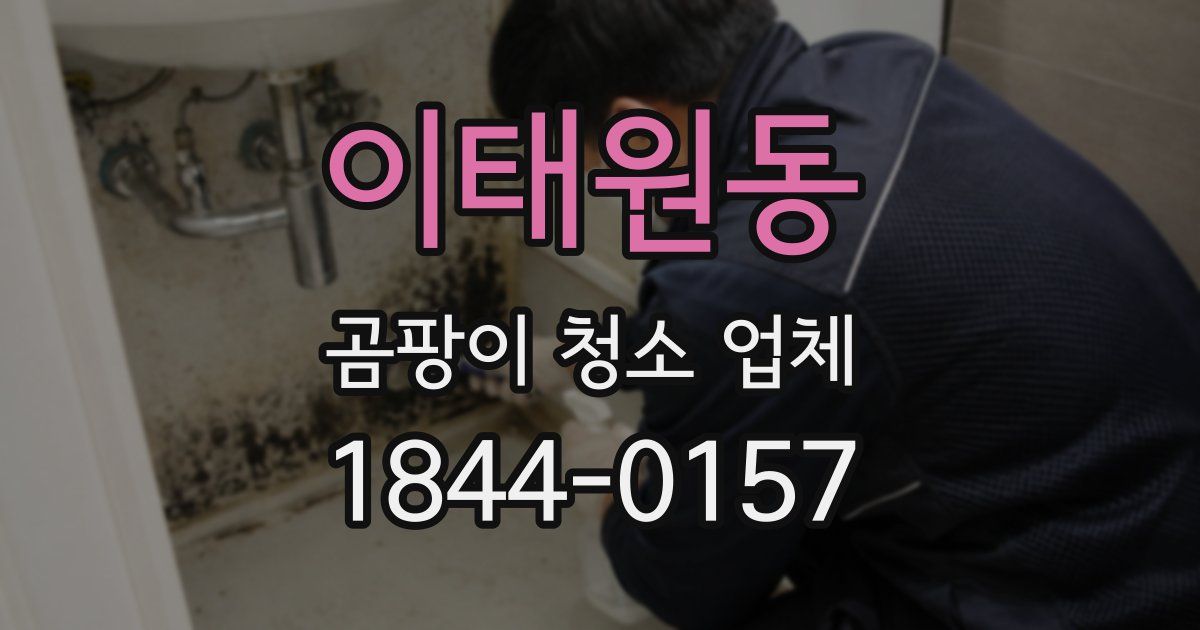 이태원동 곰팡이 청소 업체